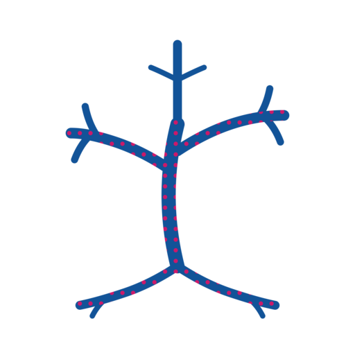 Nipaxer